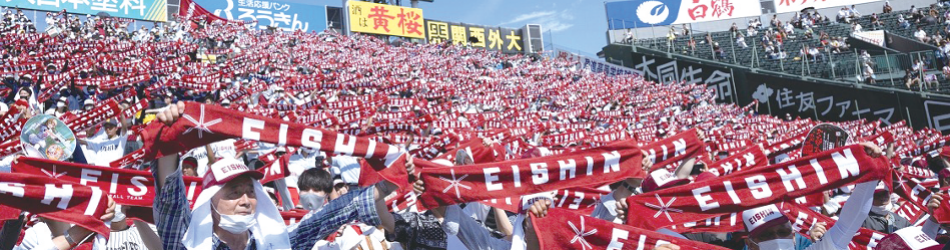 総会：１１月１５日（日）